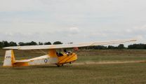 146_t31-jaune-vb4.jpg